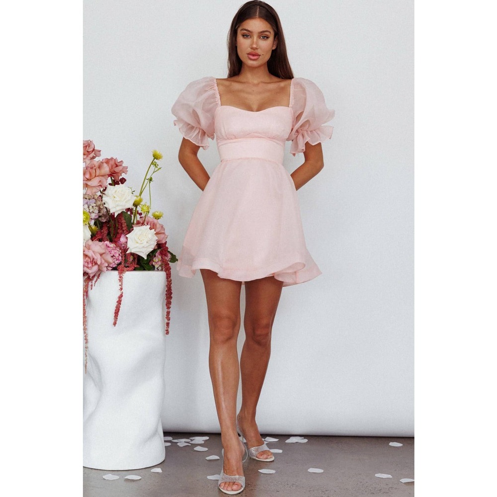 One And Only Pink Organza Babydoll Dress / L